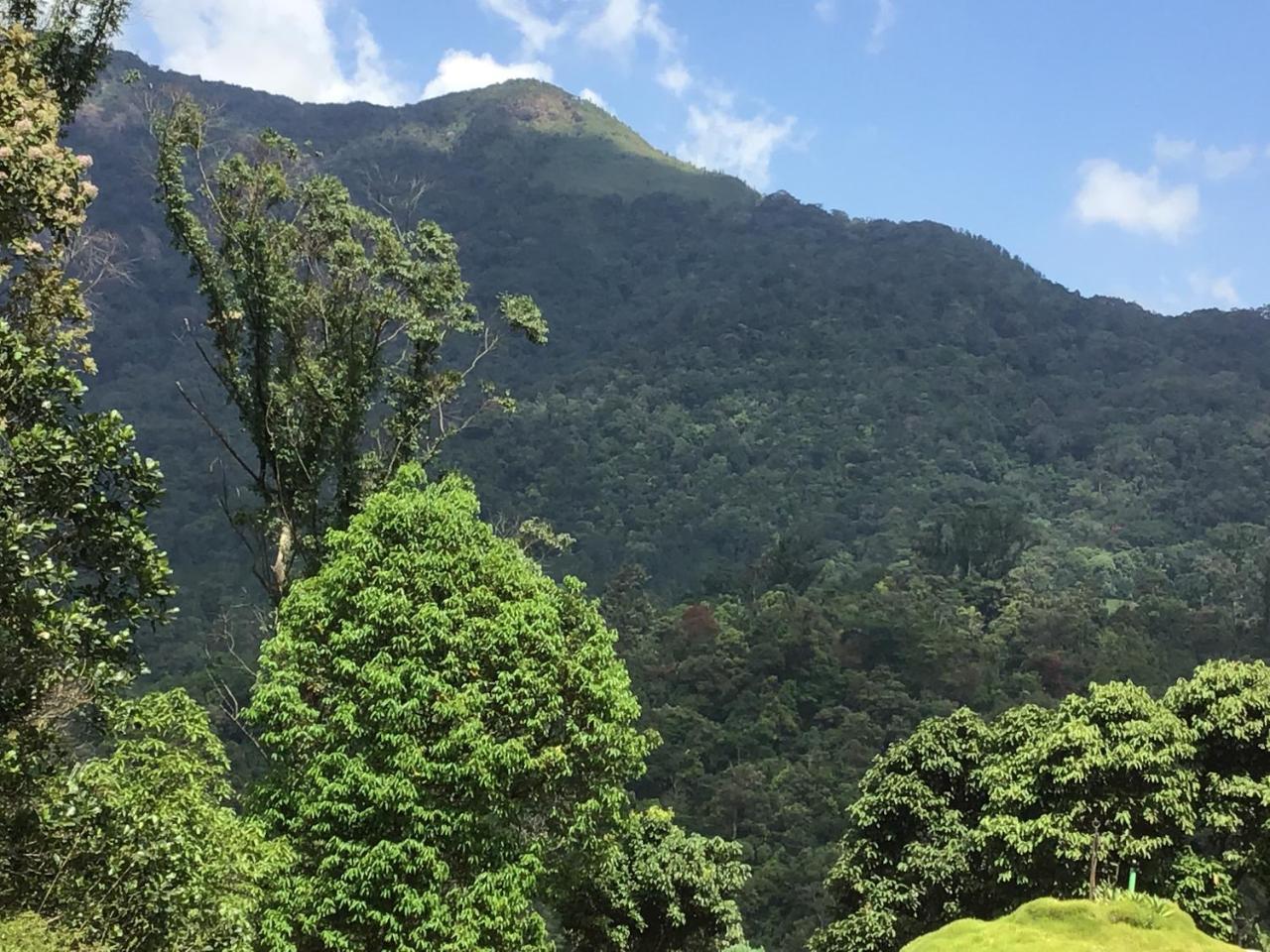 野生大象环保度假村 蒙纳 外观 照片