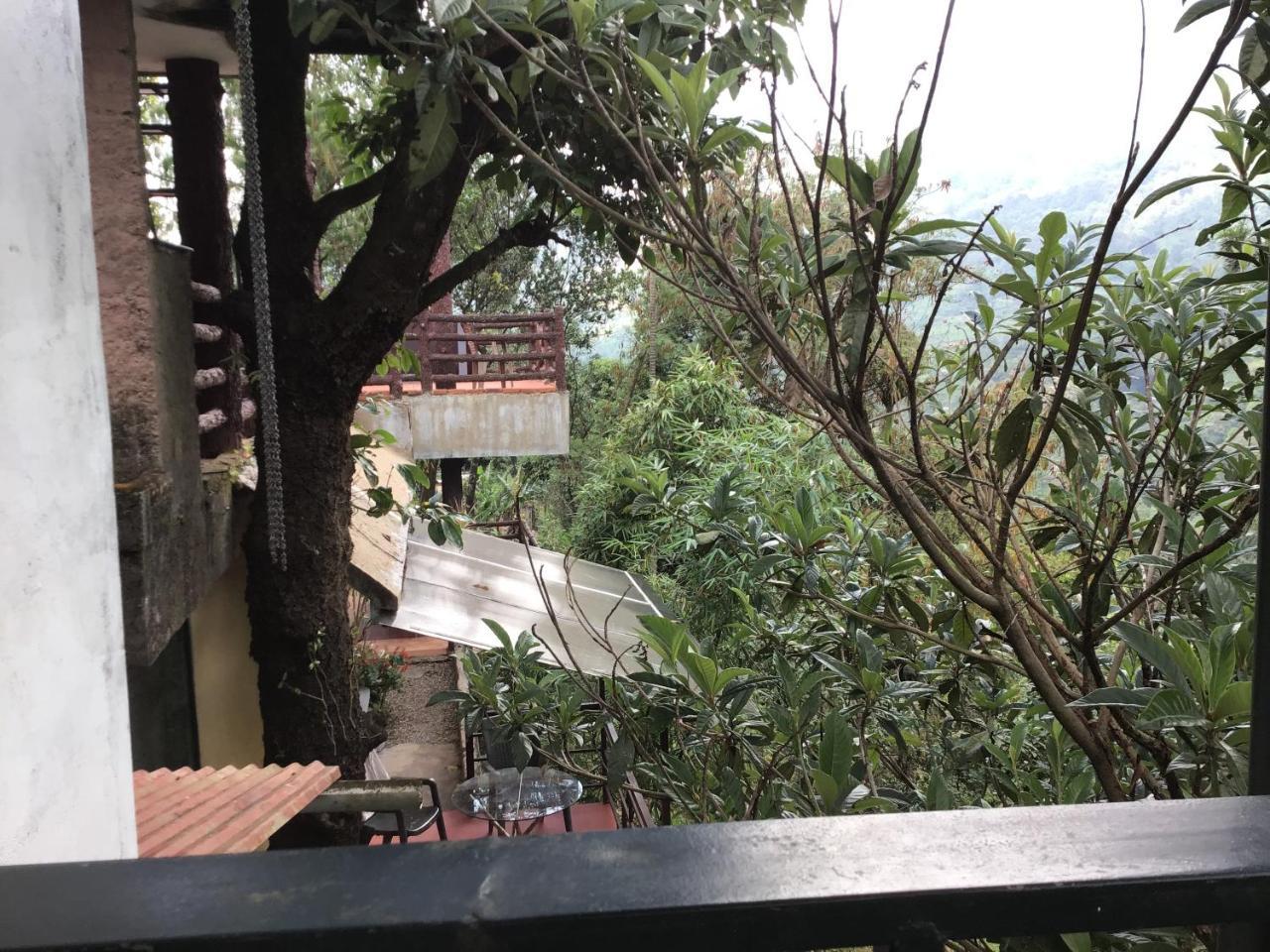 野生大象环保度假村 蒙纳 外观 照片